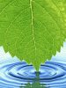 anim240320mobildesign.atw.hu_0151.gif